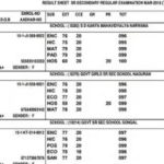 HBSE Haryana Board 12th Result: यहां चेक करें अपना स्कोर