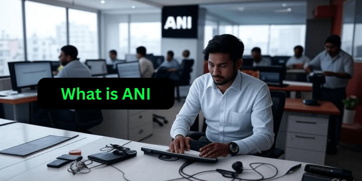 What is ANI