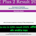 tnresults-nic-in 12th result 2025: ऑफिशियल लिंक और अपडेटेड गाइड