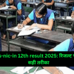 tnresults-nic-in 12th result 2025: रिजल्ट चेक करने का सही तरीका